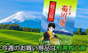 今週のお買い得品は煎茶牧之原