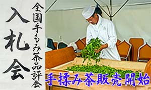 手もみ茶販売開始